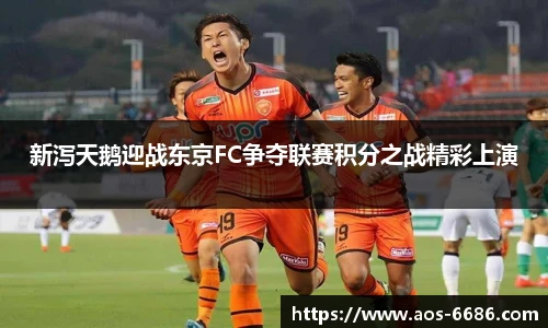 新泻天鹅迎战东京FC争夺联赛积分之战精彩上演