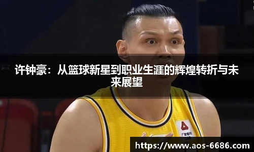 6686体育网页版