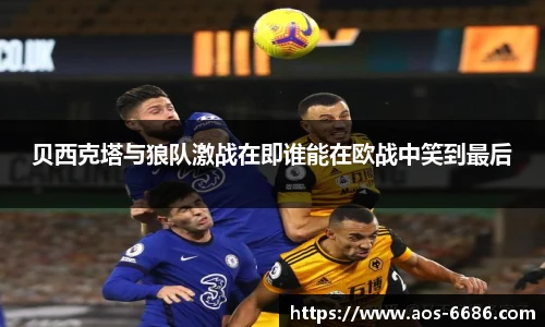 6686体育网页版