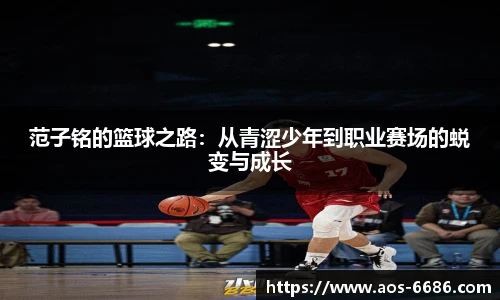6686体育官网下载